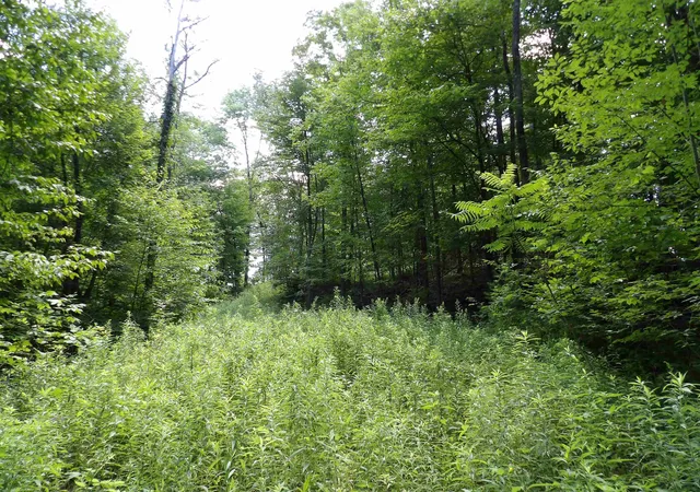 Photo 2 of Land for sale at 20 Center St, Proctor, VT 05765 | MLS# 5105812 | Listing updated on 2026-08-20