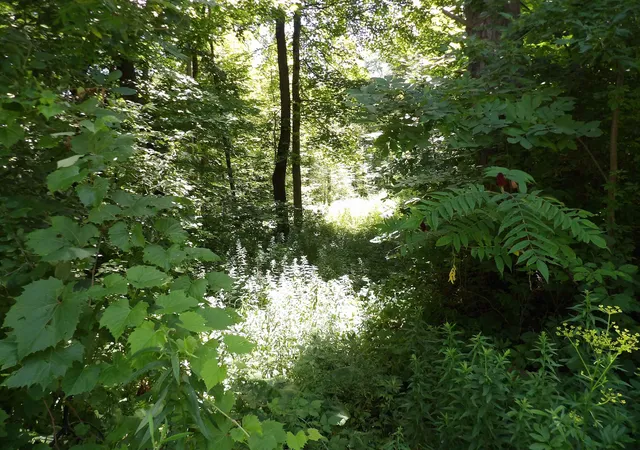Photo 3 of Land for sale at 20 Center St, Proctor, VT 05765 | MLS# 5105812 | Listing updated on 2026-08-20