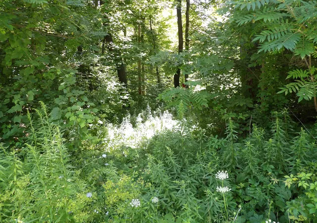 Photo 3 of Land for sale at 20 Center St, Proctor, VT 05765 | MLS# 5105812 | Listing updated on 2026-08-20