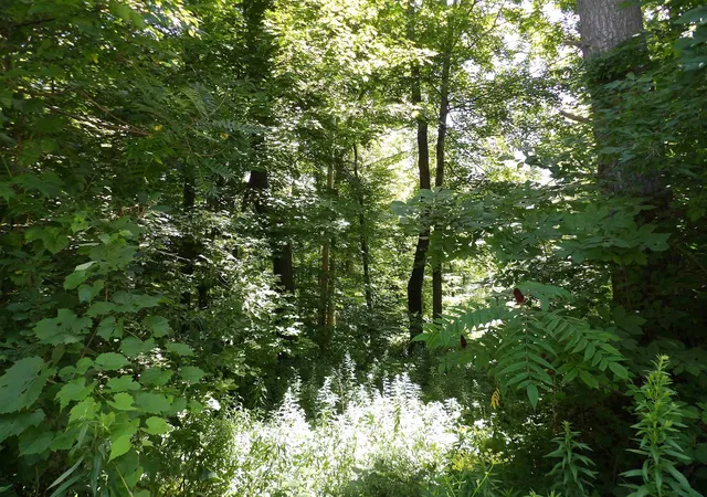 Photo 4 of Land for sale at 20 Center St, Proctor, VT 05765 | MLS# 5105812 | Listing updated on 2026-08-20