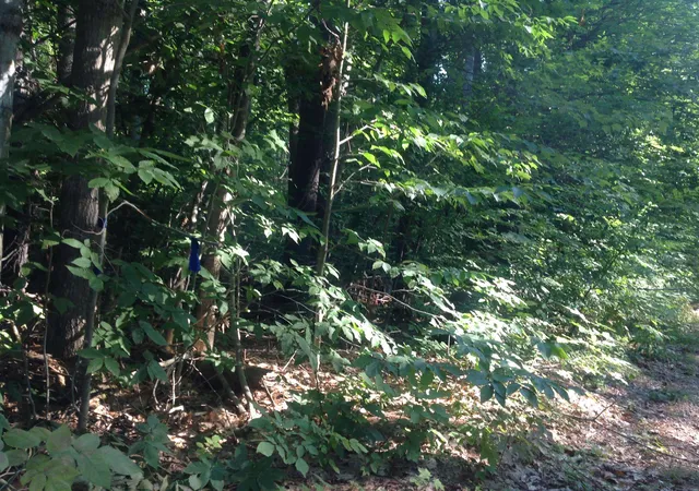 Photo 1 of Land for sale at 29 Stoneview Rd, Ossipee, NH 03864 | MLS# 5105914 | Listing updated on 2026-08-21