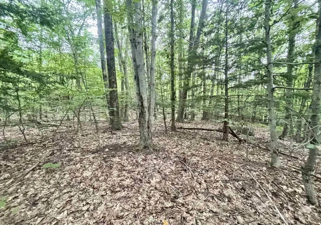 1st image of 55 10 Longwood Dr, Greenfield, NH 03047 | MLS# 5106016