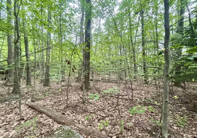 12th image of 55 10 Longwood Dr, Greenfield, NH 03047 | MLS# 5106016