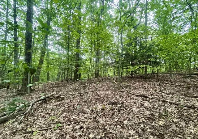 2nd image of 55 10 Longwood Dr, Greenfield, NH 03047 | MLS# 5106016