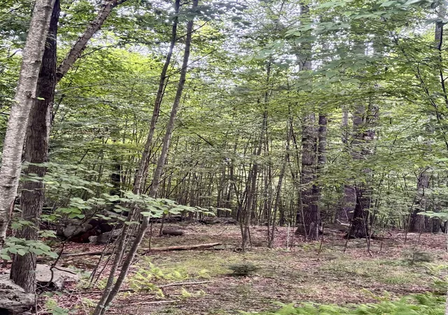 Photo 3 of Land for sale at 55 10 Longwood Dr, Greenfield, NH 03047 | MLS# 5106016 | Listing updated on 2026-08-20