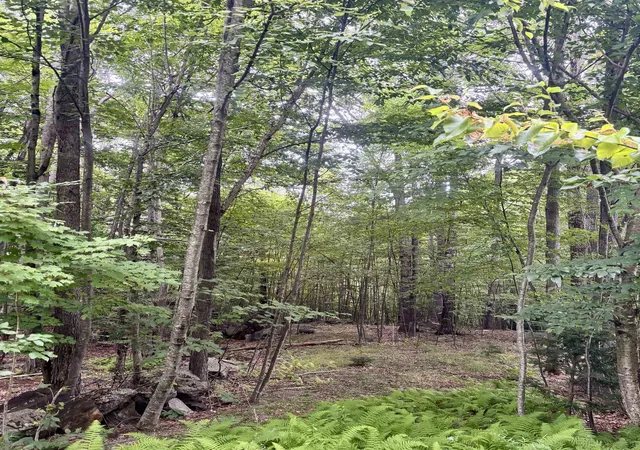Photo 3 of Land for sale at 55-10 Longwood Dr, Greenfield, NH 03047 | MLS# 5106016 | Listing updated on 2026-08-20