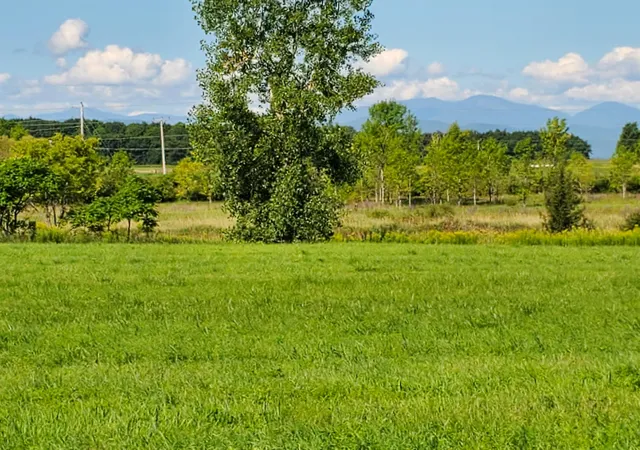 Photo 3 of Land for sale at 000 Park Ln, Ferrisburgh, VT 05456 | MLS# 5106071 | Listing updated on 2026-08-21
