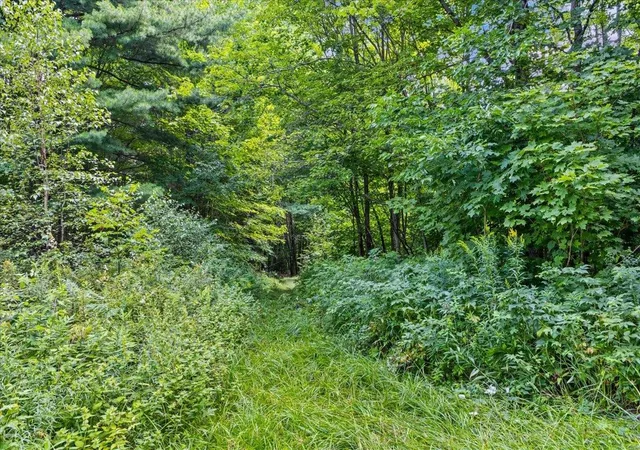 Photo 3 of Land for sale at 0 Mountain View Rd, Warren, VT 05674 | MLS# 5106077 | Listing updated on 2026-09-01