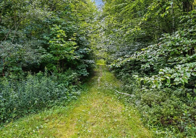 Photo 4 of Land for sale at 0 Mountain View Rd, Warren, VT 05674 | MLS# 5106077 | Listing updated on 2026-09-01