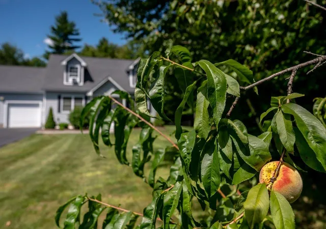29th image of 195 Ridgetop Ln, Henniker, NH 03242 | MLS# 5106111