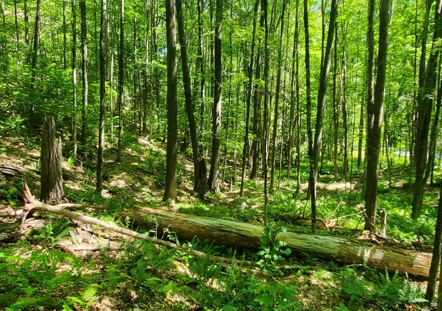 Photo 1 of Land for sale at 0 Union Village Rd, Norwich, VT 05055 | MLS# 5106130 | Listing updated on 2026-09-07