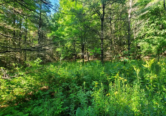 Photo 2 of Land for sale at 0 Union Village Rd, Norwich, VT 05055 | MLS# 5106130 | Listing updated on 2026-09-07