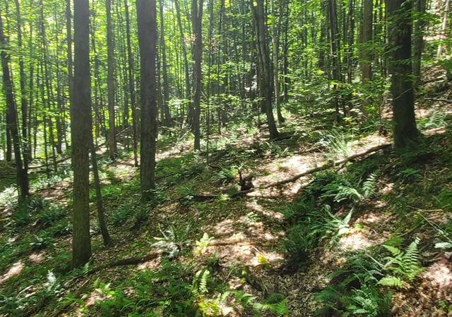 Photo 3 of Land for sale at 0 Union Village Rd, Norwich, VT 05055 | MLS# 5106130 | Listing updated on 2026-09-07