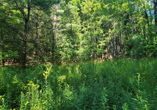 Photo 3 of Land for sale at 0 Union Village Rd, Norwich, VT 05055 | MLS# 5106130 | Listing updated on 2026-09-07
