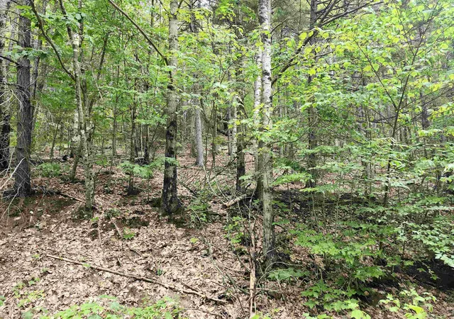 2nd image of 051208 Isaax Fox Dr, Campton, NH 03223 | MLS# 5106142