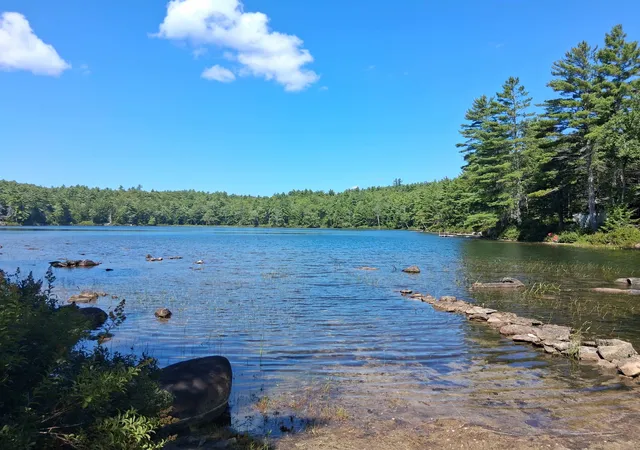 21st image of 51 Bear Pond Rd, Alton, NH 03809 | MLS# 5106179