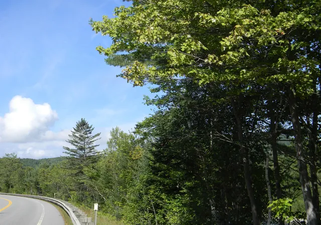 4th image of 422 New Hampshire Route 110 Route, Northumberland, NH 03582 | MLS# 5106188