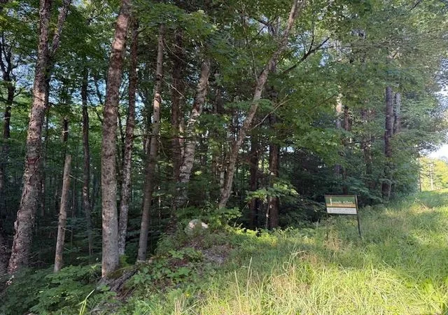 Photo 1 of Land for sale at 0 Sylvan Ridge Rd, Winhall, VT 05340 | MLS# 5106244 | Listing updated on 2026-08-22