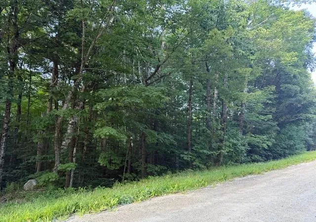 Photo 3 of Land for sale at 0 Sylvan Ridge Rd, Winhall, VT 05340 | MLS# 5106244 | Listing updated on 2026-08-22