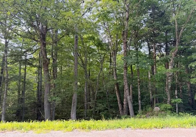Photo 3 of Land for sale at 0 Sylvan Ridge Rd, Winhall, VT 05340 | MLS# 5106244 | Listing updated on 2026-08-22
