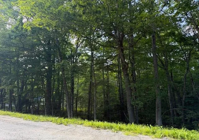 Photo 4 of Land for sale at 0 Sylvan Ridge Rd, Winhall, VT 05340 | MLS# 5106244 | Listing updated on 2026-08-22