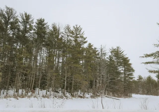 Photo 2 of Land for sale at 179 Chickville Rd, Ossipee, NH 03864 | MLS# 5106245 | Listing updated on 2026-08-22