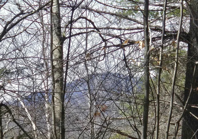 Photo 3 of Land for sale at 179 Chickville Rd, Ossipee, NH 03864 | MLS# 5106245 | Listing updated on 2026-08-22