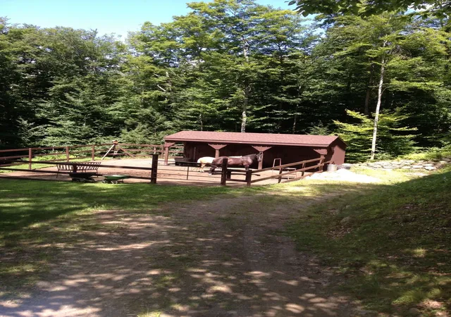 Photo 3 of Single family home for sale at 97 High St, Plainfield, NH 03781 | MLS# 5106286 | Listing updated on 2026-09-23
