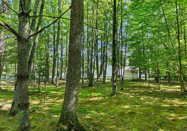 4th image of 44 Waumbeck Rd, Wolfeboro, NH 03894 | MLS# 5106363