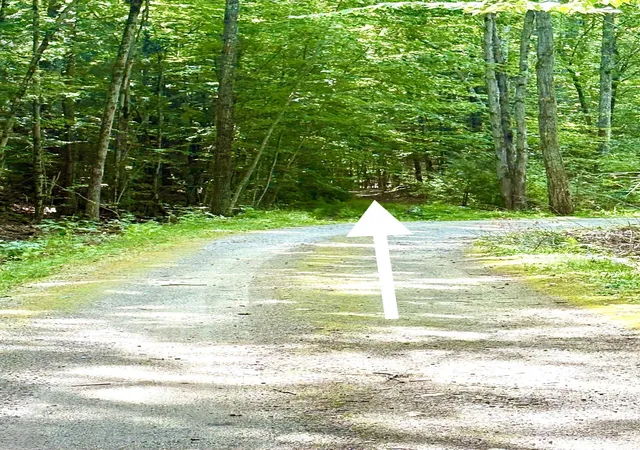 2nd image of 00 South Rd, Hopkinton, NH 03229 | MLS# 5106387
