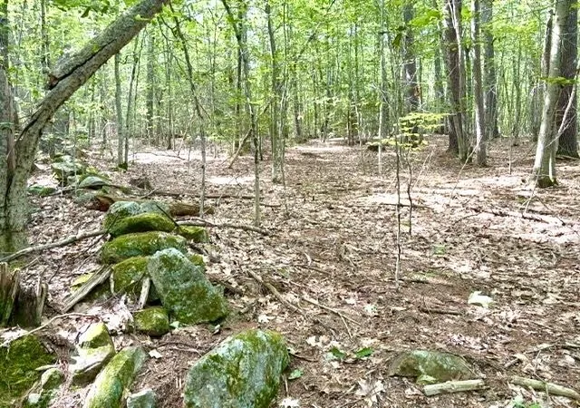 4th image of 00 South Rd, Hopkinton, NH 03229 | MLS# 5106387