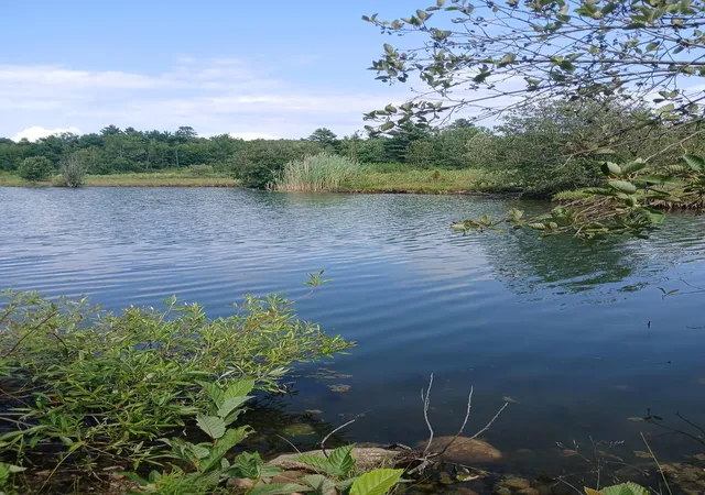 3rd image of 461 Bog Rd, Enfield, NH 03748 | MLS# 5106406