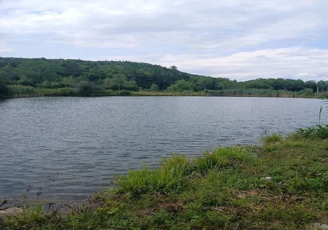 4th image of 461 Bog Rd, Enfield, NH 03748 | MLS# 5106406