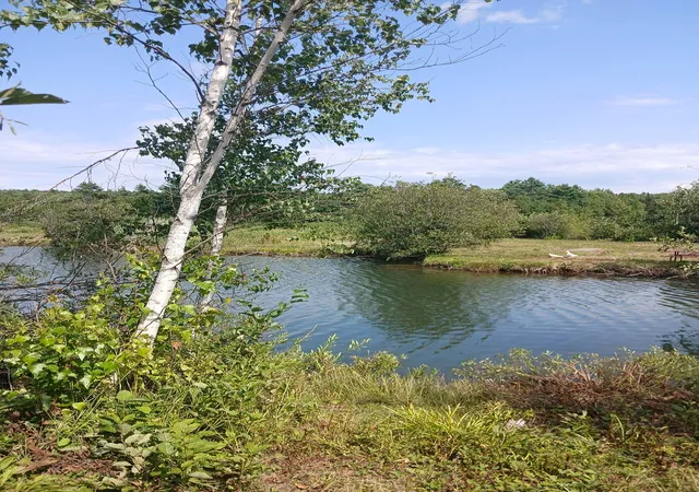 41st image of 461 Bog Rd, Enfield, NH 03748 | MLS# 5106406