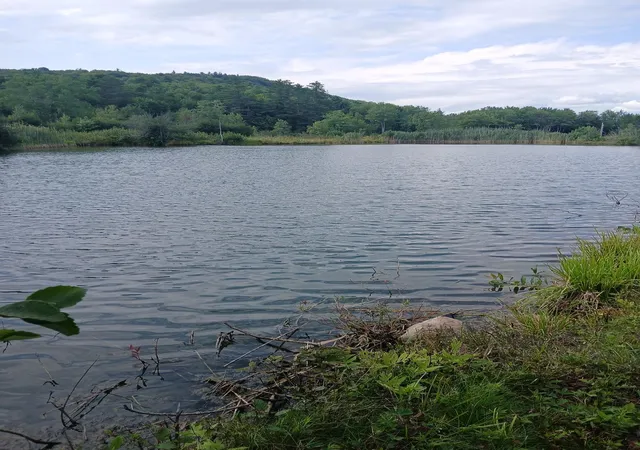 5th image of 461 Bog Rd, Enfield, NH 03748 | MLS# 5106406