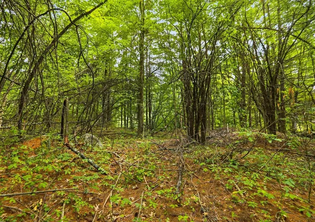 17th image of 00 Dow Rd, Meredith, NH 03253 | MLS# 5106423