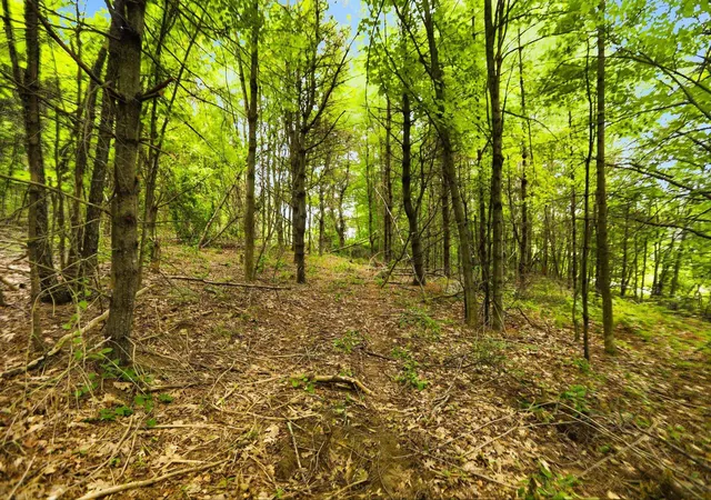 18th image of 00 Meredith Center Rd, Meredith, NH 03253 | MLS# 5106428