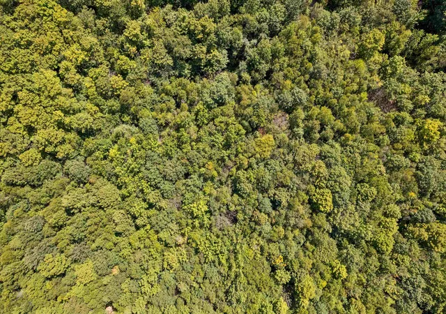 Photo 4 of Land for sale at 0 Ayers Rd, Vershire, VT 05079 | MLS# 5106461 | Listing updated on 2026-09-14