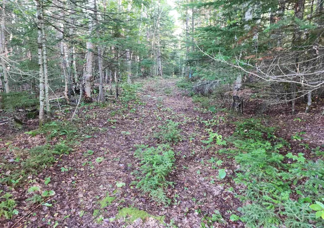 3rd image of 0000 Hampshire Woods Loop, Errol, NH 03579 | MLS# 5106483