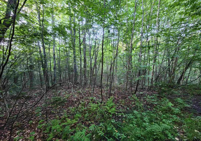 5th image of 0000 Hampshire Woods Loop, Errol, NH 03579 | MLS# 5106483