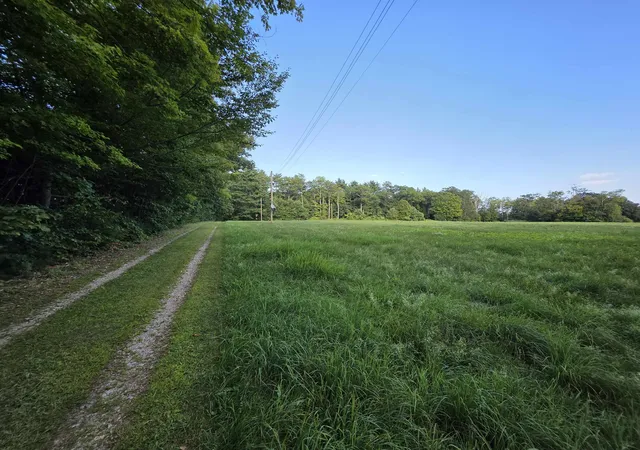 34th image of 135 Little Hill Rd, Webster, NH 03303 | MLS# 5106485