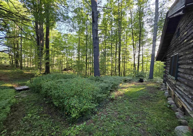 5th image of 135 Little Hill Rd, Webster, NH 03303 | MLS# 5106485