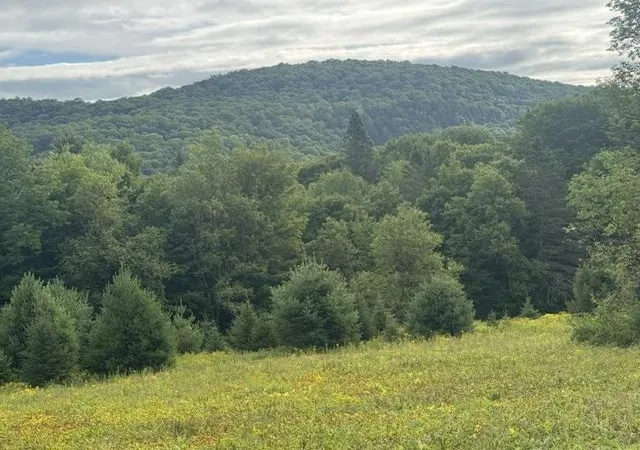 Photo 2 of Sale Pending at Shadow Lake Rd, Glover, VT 05839 | MLS# 5106494 | Listing updated on 2026-08-27