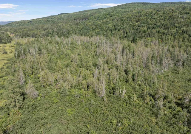 Photo 4 of Land for sale at White Branch Rd, Pittsburg, NH 03592 | MLS# 5106496 | Listing updated on 2026-08-29