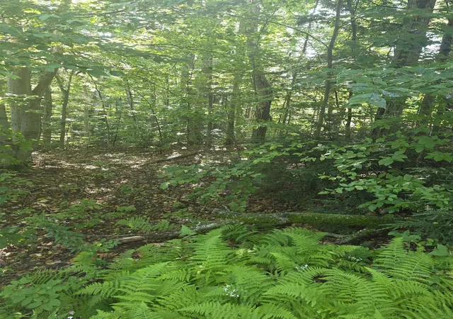 Land for sale at 00 Allard Farm Circuit, Conway, NH 03860 | MLS# 5106523