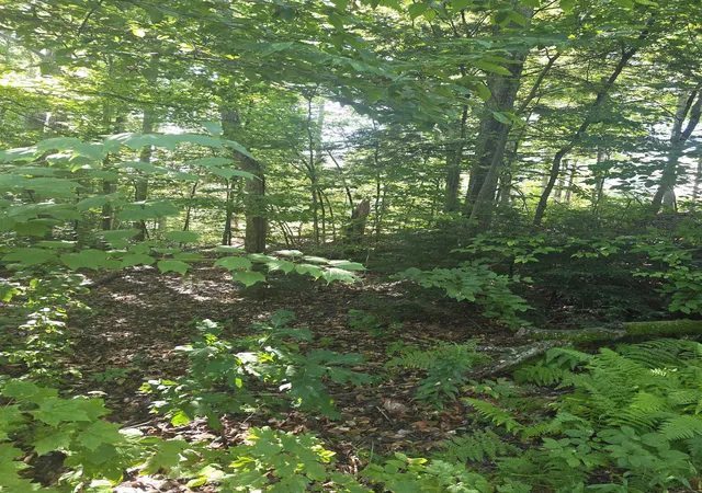 Photo 2 of Land for sale at 00 Allard Farm Circuit, Conway, NH 03860 | MLS# 5106523 | Listing updated on 2026-08-25