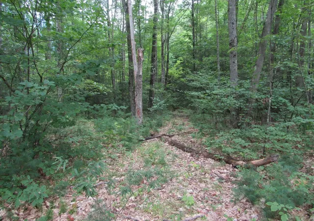 1st image of 00 Mill St, Haverhill, NH 03785 | MLS# 5106547