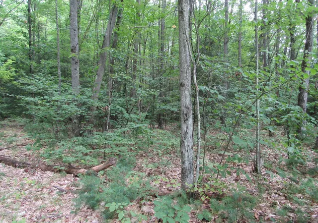 2nd image of 00 Mill St, Haverhill, NH 03785 | MLS# 5106547