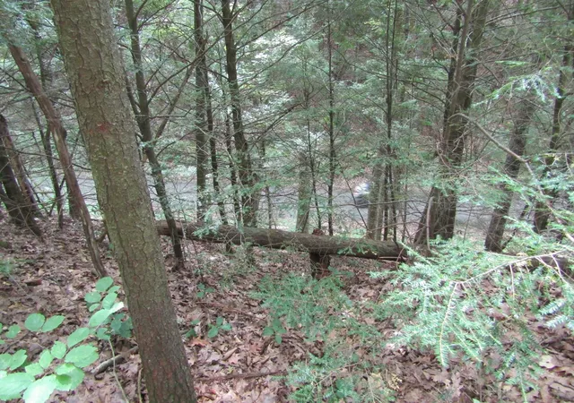 3rd image of 00 Mill St, Haverhill, NH 03785 | MLS# 5106547
