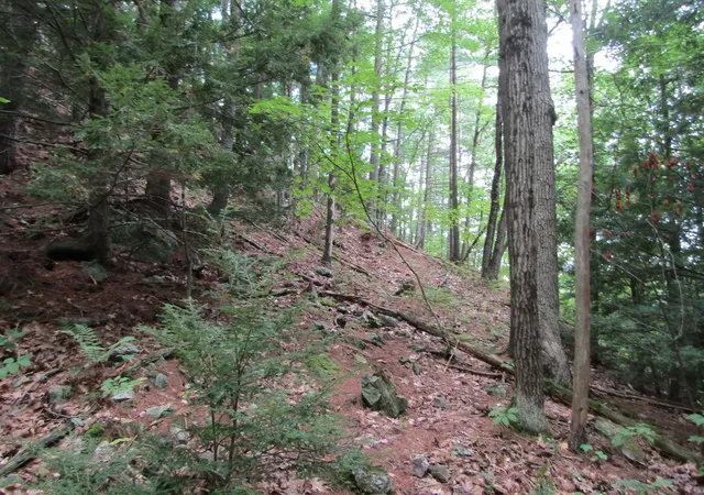 4th image of 00 Mill St, Haverhill, NH 03785 | MLS# 5106547